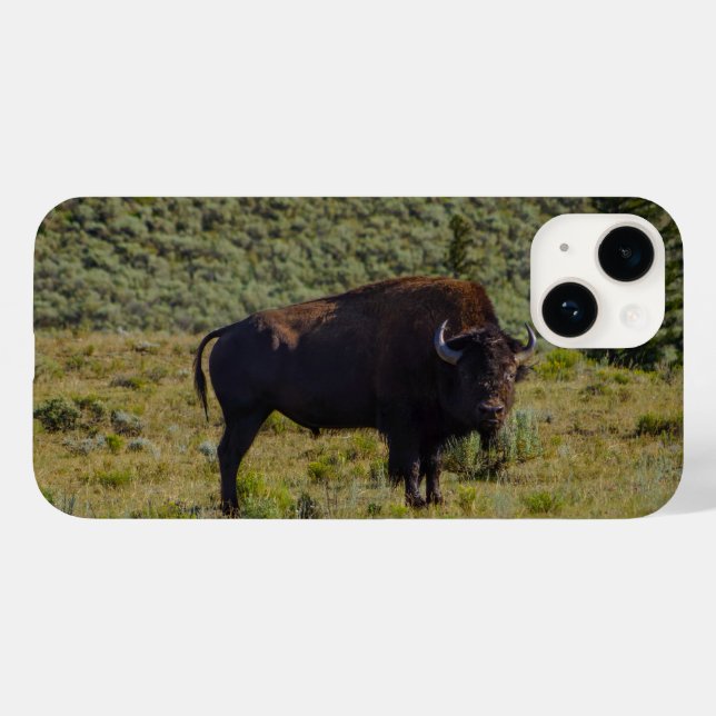 Coques Case-Mate iPhone Qui regardez-vous (Verso (horizontal))