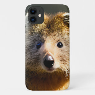 Case-Mate iPhone Case Quintin Le Ginger Quokka,