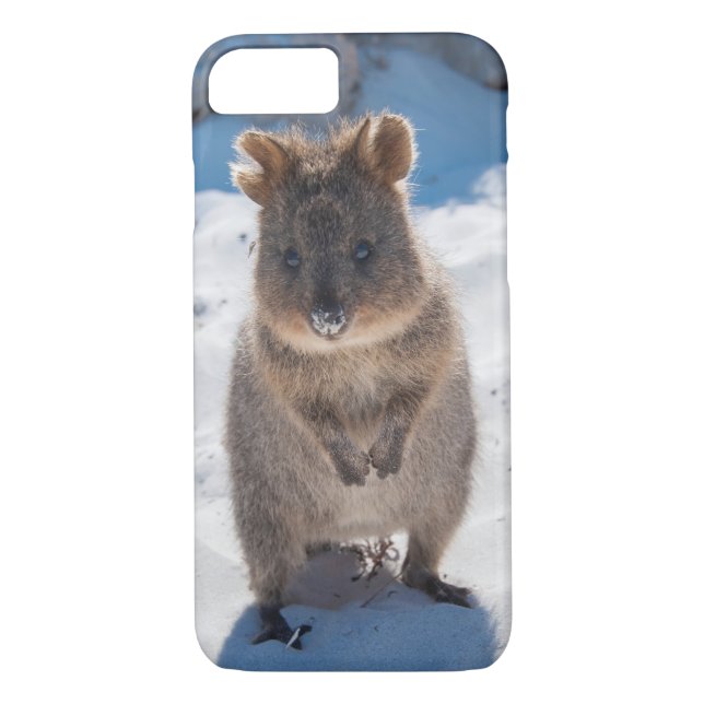 Coques Case-Mate iPhone Quokka mignonne petit animal sur la plage Australi (Dos)