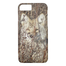 R21 Coyote "Vous regarder"