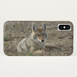Coques Pour iPhone R22 Coyote Couché