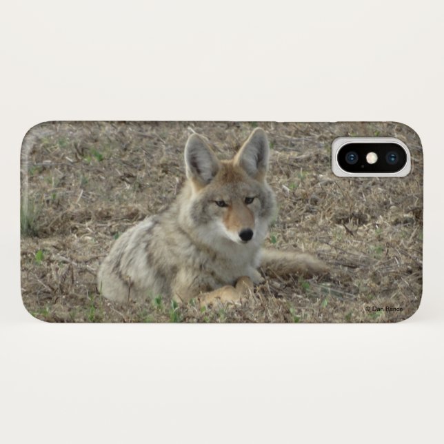 Coques Case-Mate iPhone R22 Coyote Couché (Dos (Horizontal))