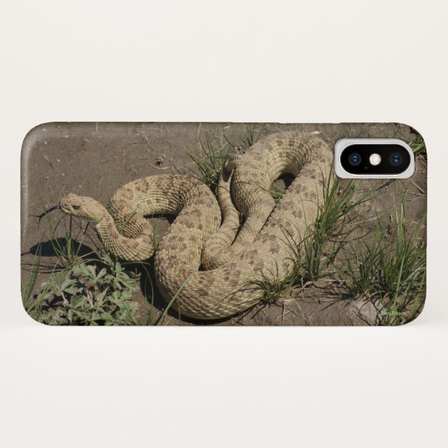 Coques Case-Mate iPhone R6 Prairie Rattlesnake (Dos (Horizontal))