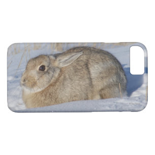Case-Mate iPhone Case Rabbit de coton R5 en neige