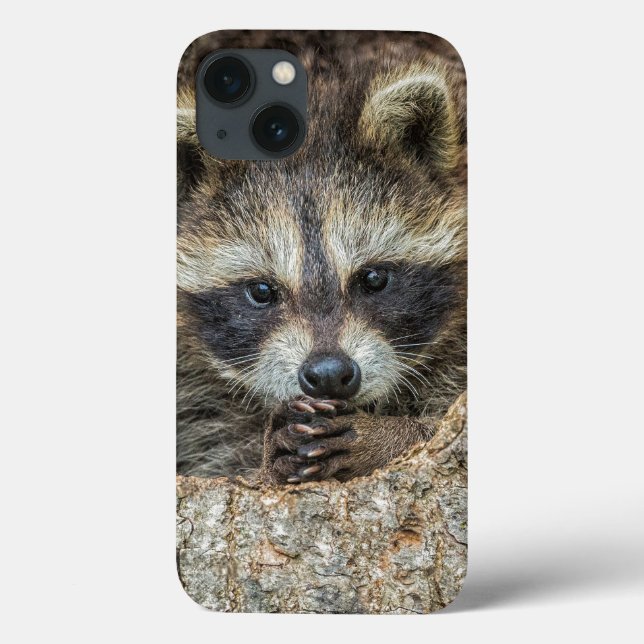 Coques Case-Mate iPhone Raccon niché à l'intérieur d'un creux d'arbre (Verso)