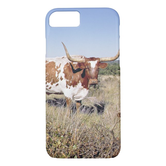 Coques Case-Mate iPhone Race du Texas Longhorn (photo) (Dos)