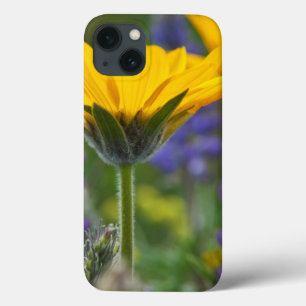 Case-Mate iPhone Case Racine de baume à feuilles de flèche et lupin en f
