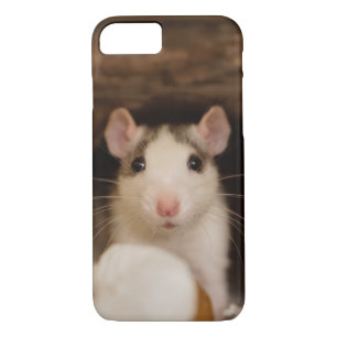 Coque iPhone 8/7 Rat mignon