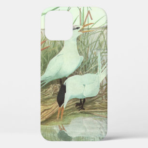 Coque Case-Mate iPhone Raviers vintages dans un marais par Louis Fuertes