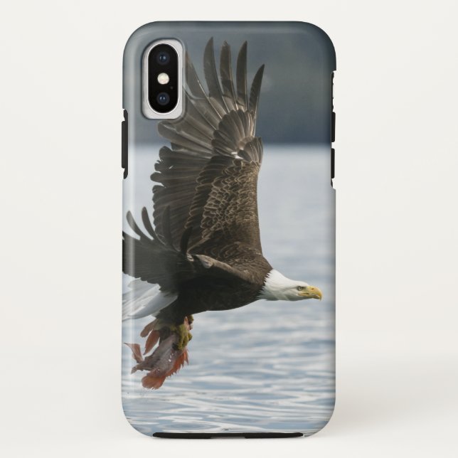 Coques Case-Mate iPhone Récupération du poisson d'aigle à tête blanche (Dos)