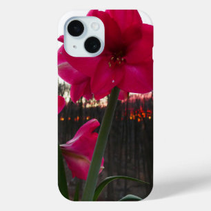 Coque Case-Mate iPhone Red Amaryllis et le lever du soleil d'hiver