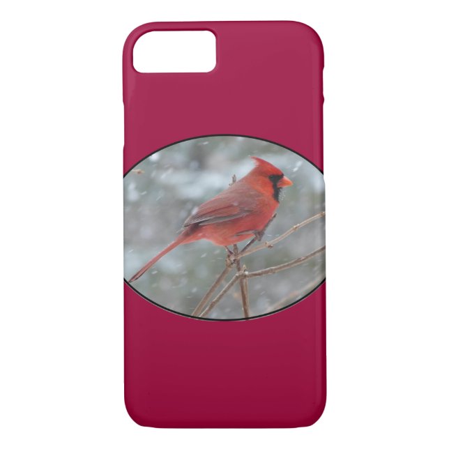 Coques Case-Mate iPhone Red cardinal en hiver (Dos)
