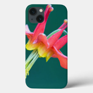 iPhone 13 Coque Red Columbine