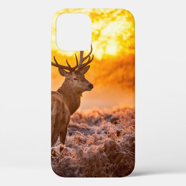 Coques Case-Mate iPhone Red Deer in Morning Sun, cerf, animal, faune, natu (Verso)