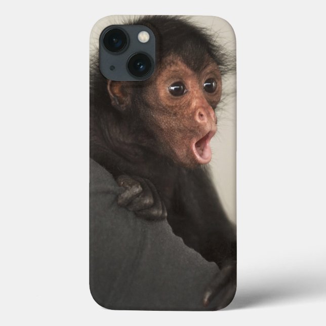 Coques Case-Mate iPhone Red-faced Spider Monkey Ateles paniscus) (Verso)
