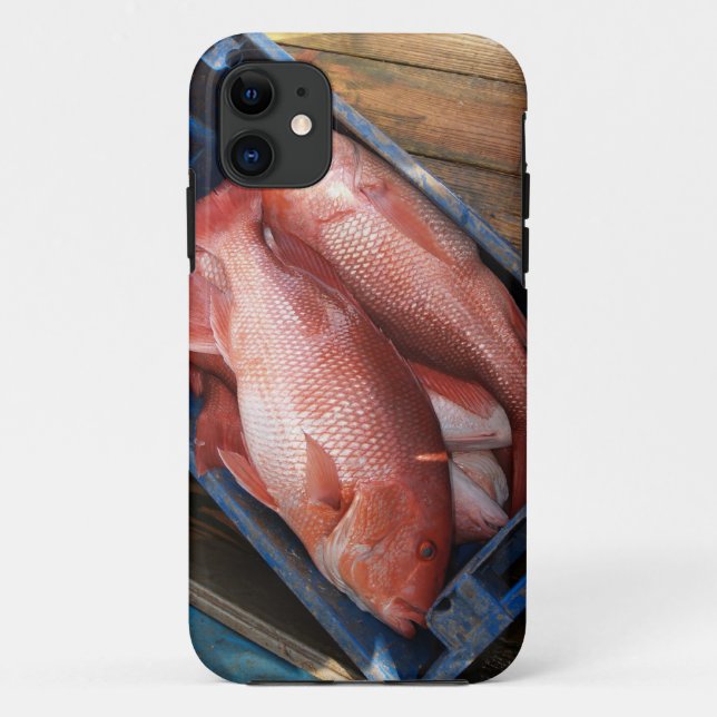 Coques Case-Mate iPhone Red Snapper Fish iPhone 5 (Dos)