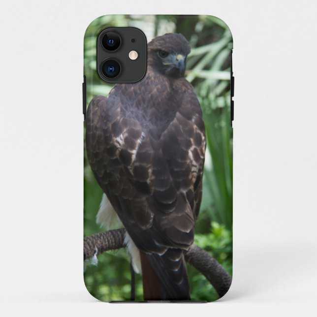 Coques Case-Mate iPhone Red Tail Hawk Bird (Dos)