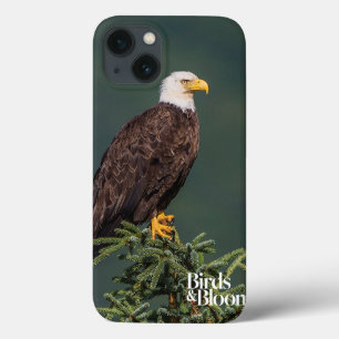 iPhone 13 Case Regal Bald Eagle