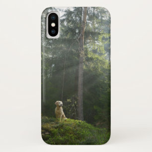 Case-Mate iPhone Case Région boisée de pin du chien   de golden