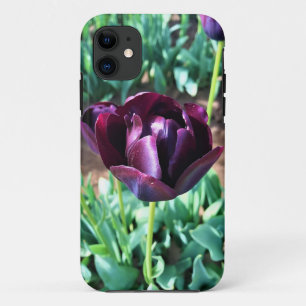 Case-Mate iPhone Case Reine de la Tulipe de nuit, Oregon