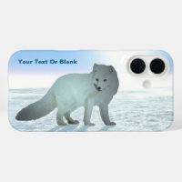 Renard arctique