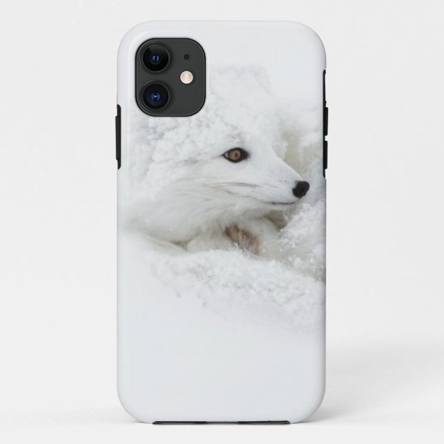 Coques Case-Mate iPhone Renard arctique recroquevillé en hiver (Dos)