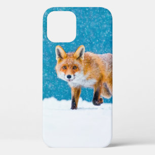Case-Mate iPhone Case Renard en hiver. Renard rouge, Vulpes vulpes, reni