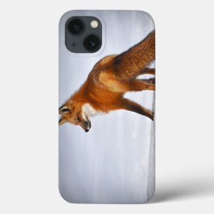 Case-Mate iPhone Case Renard rouge en hiver