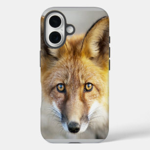 Coque Pour iPhone 16 Renard rouge, gros plan