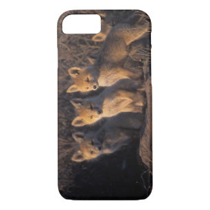 Coque Case-Mate Pour iPhone renard rouge, Vulpes vulpes, kits