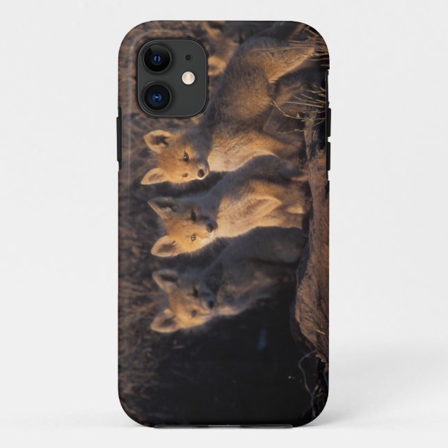 Coques Case-Mate iPhone renard roux, Vulpes vulpes, kits (Dos)