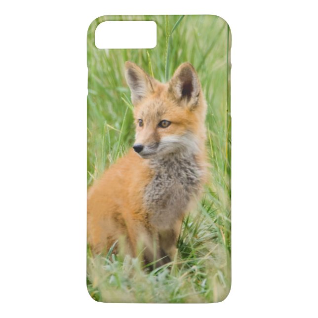 Coques Case-Mate iPhone Renardeau dans l'herbe près de terrier (Dos)