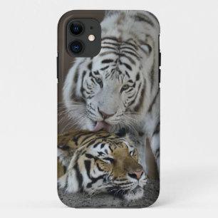Coques Pour iPhone Repos blanc et Brown de tigres