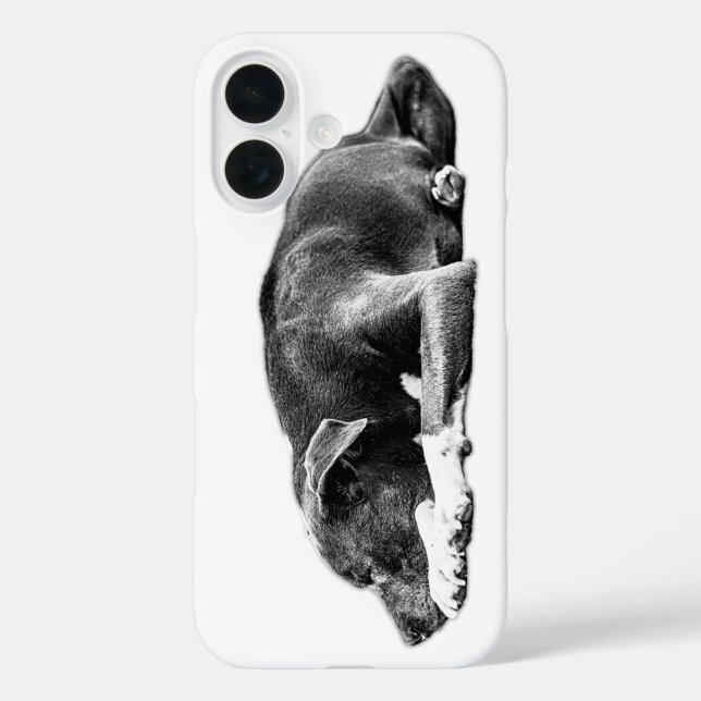 Coques Case-Mate iPhone Repose du boîtier de téléphone fixe Pitbull Mix Ca (Verso)
