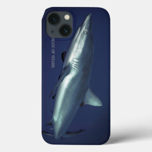 iPhone 13 Case Requin gris de récif à Yap en Micronésie