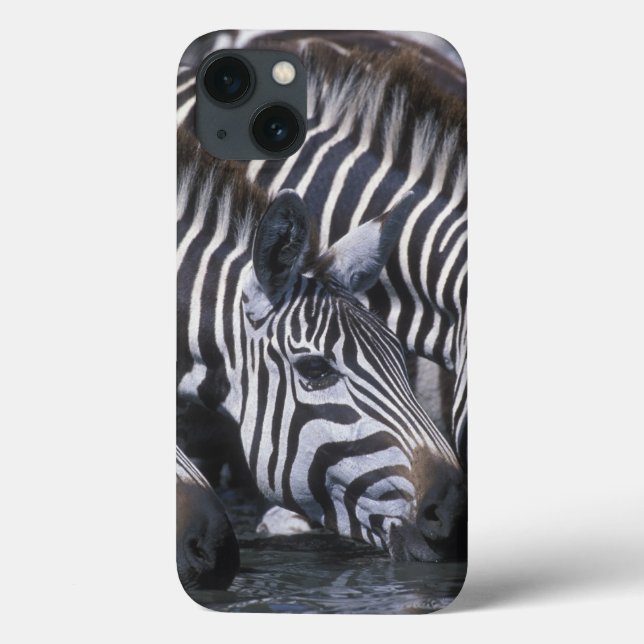 Coques Case-Mate iPhone Réservation de jeu de l'Afrique, Kenya, Mara de (Verso)