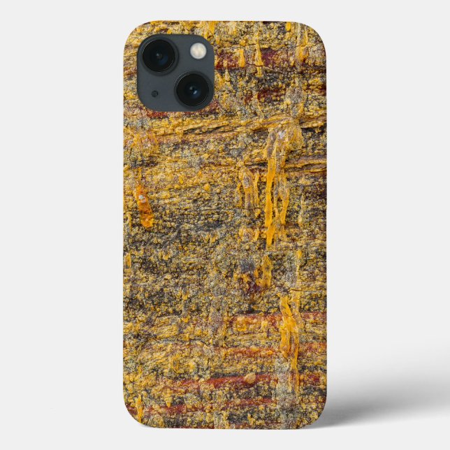Coques Case-Mate iPhone Résine d'arbre dorée sur bois rustique (Verso)