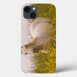 Coque Case-Mate iPhone Ressort