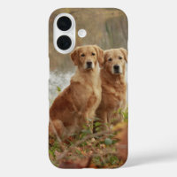 Retriever Buddies