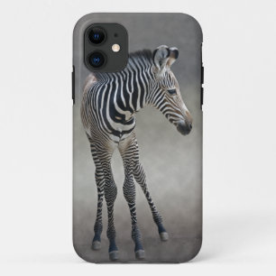 Coque iPhone 11 Rêves en noir et blanc sur iPhone 5 Coque-Mate Co