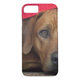 Etui iPhone Case-Mate rhodesian-ridgeback