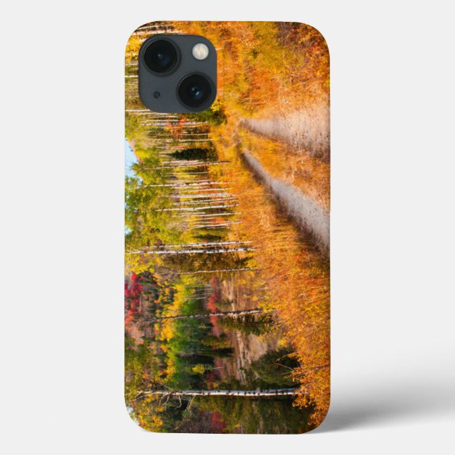 Coques Case-Mate iPhone Road Through Autumn Colors (Verso)
