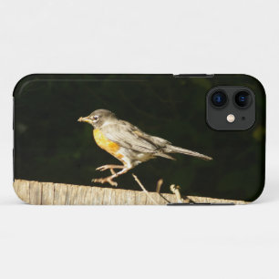 Case-Mate iPhone Case Robin rouge