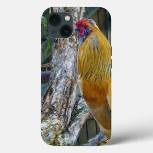 Case-Mate iPhone Case Rooster à la luffée gris orange,