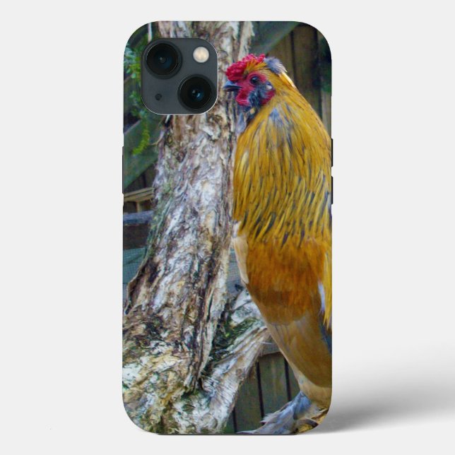 Coques Case-Mate iPhone Rooster à la luffée gris orange, (Verso)