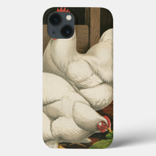 Coques Pour iPhone Roosters & Hen outside Hen House with White Border