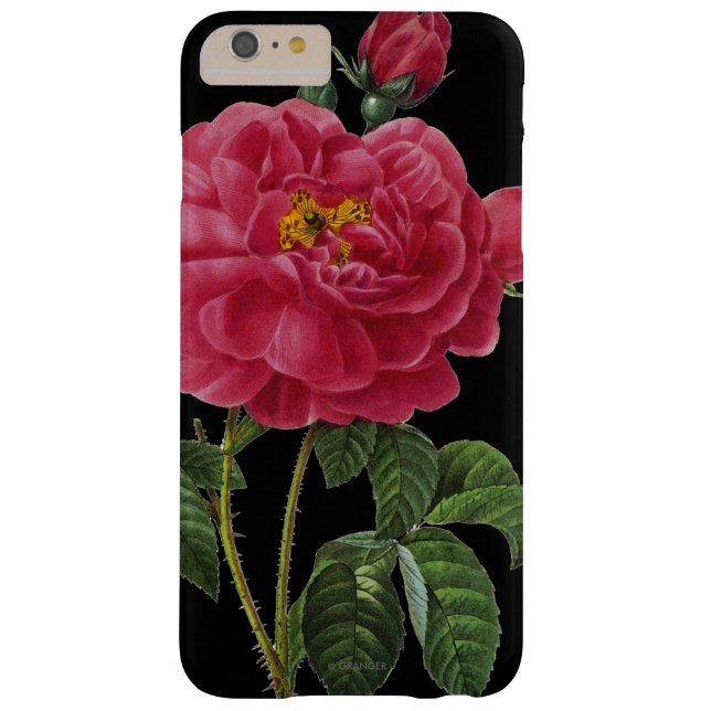 Coques Case-Mate iPhone Rosa Gallica (Dos)