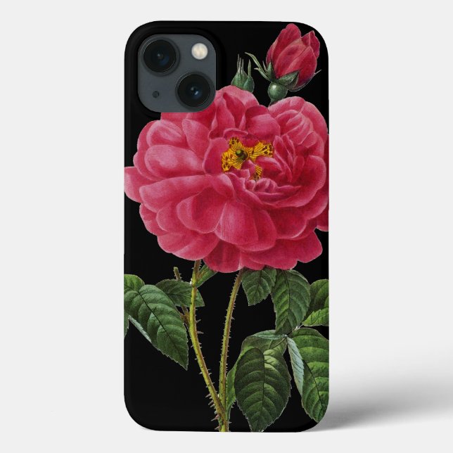 Coques Case-Mate iPhone Rosa Gallica (Verso)