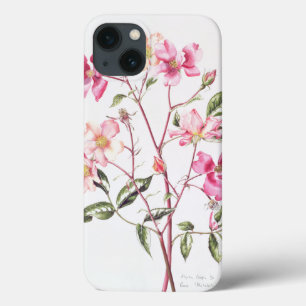 Coques Pour iPhone Rosa 'Mutabilis' 1996