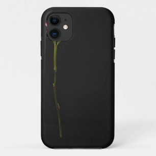 Coques Pour iPhone Rose 3 de rose